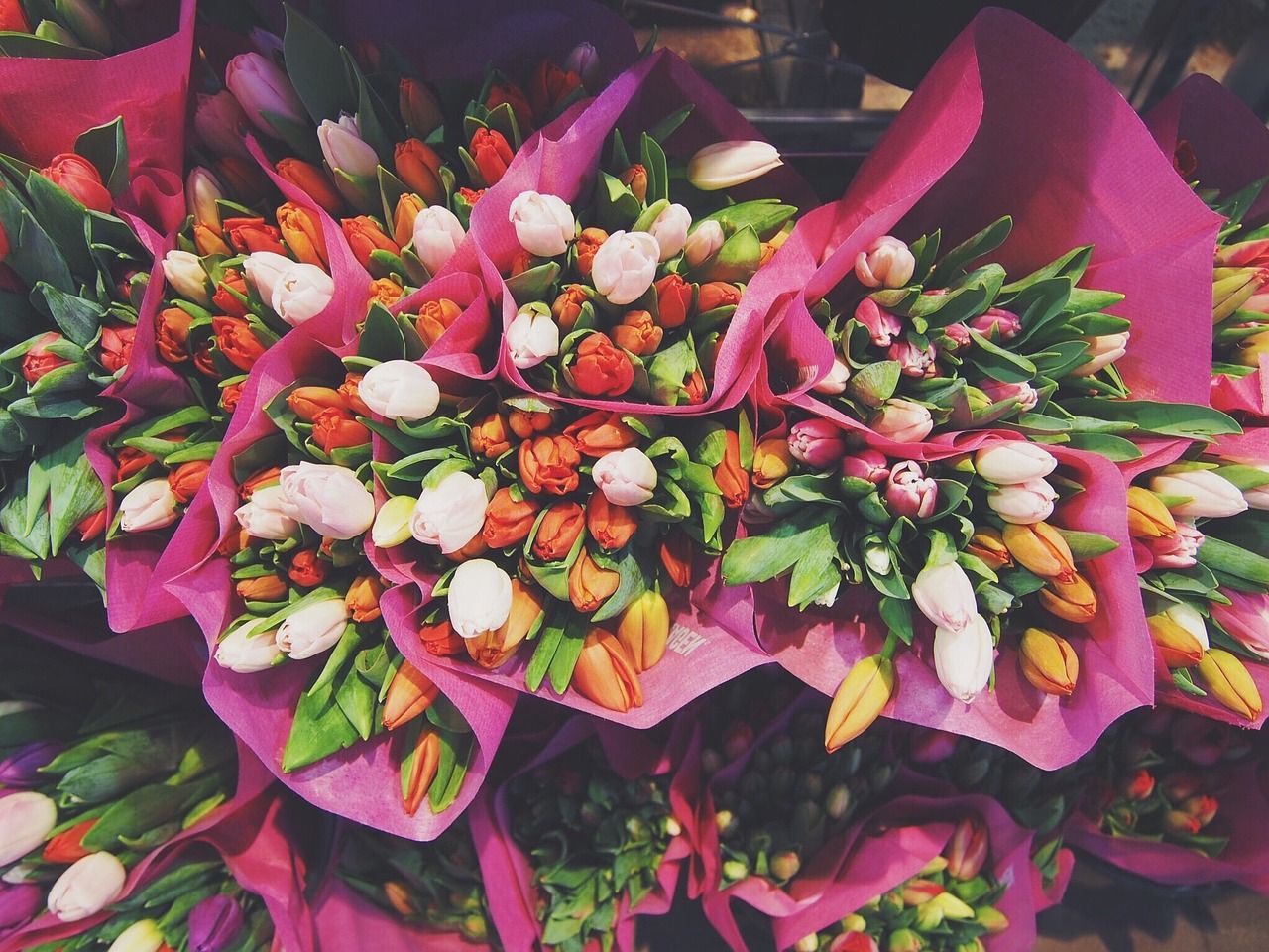 Bukiet dla ukochanej – jakie kwiaty powinny się w nim znaleźć?