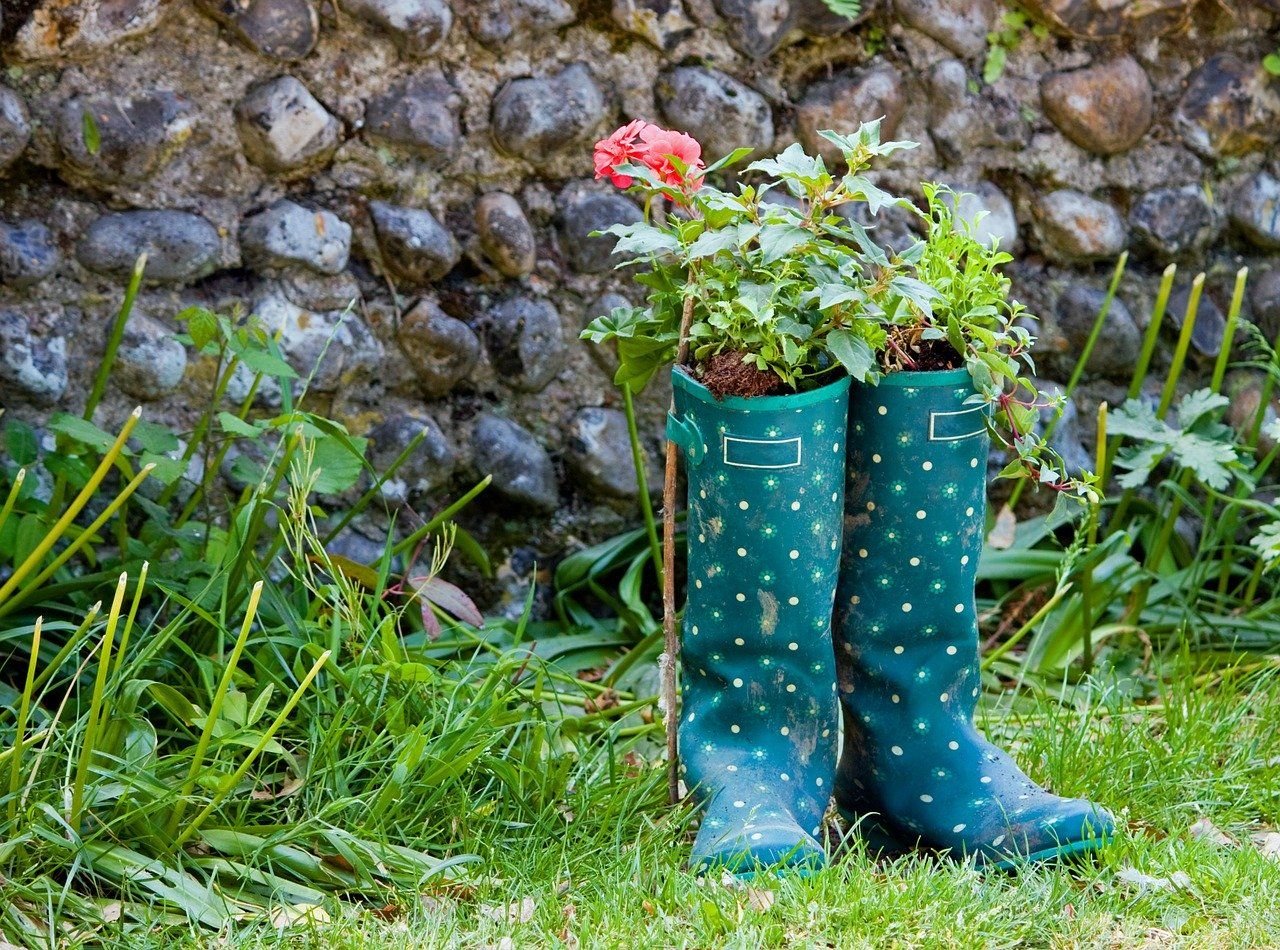 Poradnik początkującego ogrodnika – wszystko co musisz wiedzieć o uprawie kwiatów